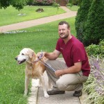 Post Surgery Rehabilitation for Dogs