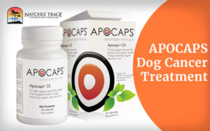 Apocaps For Dog Cancer Supplement