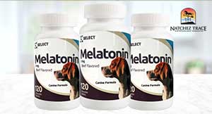 K9-Select-Beef-flavored-3mg-Melatonin-Supplement-for-Dogs