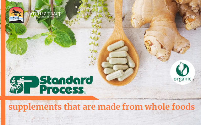 Standard Process: Superior Whole Food Supplements for Dogs, Cats, and Horses