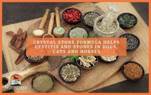Crystal Stone Formula Helps Cystitis and Stones in Dogs, Cats & Horses