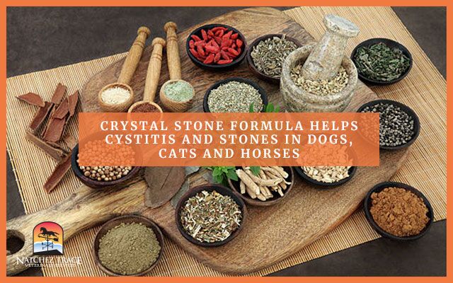 Image for Crystal Stone Formula Helps Cystitis and Stones in Dogs, Cats & Horses