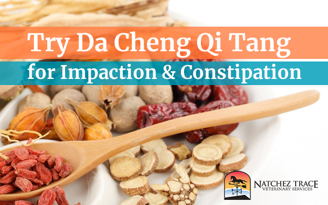 Da Cheng Qi Tang Relieves Impaction and Constipation in Dogs, Cats and Horses