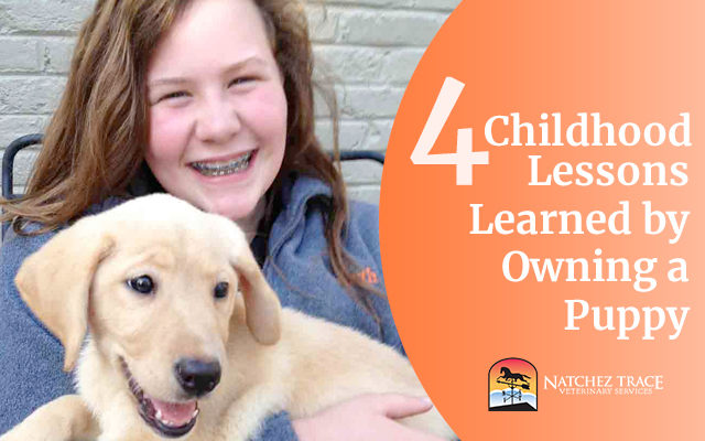 Four Childhood Lessons Learned by Owning a Puppy