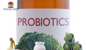 probiotics