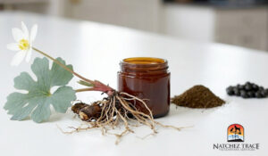 bloodroot plant with Oral Neoplasene salve, max's formula and stasis breaker