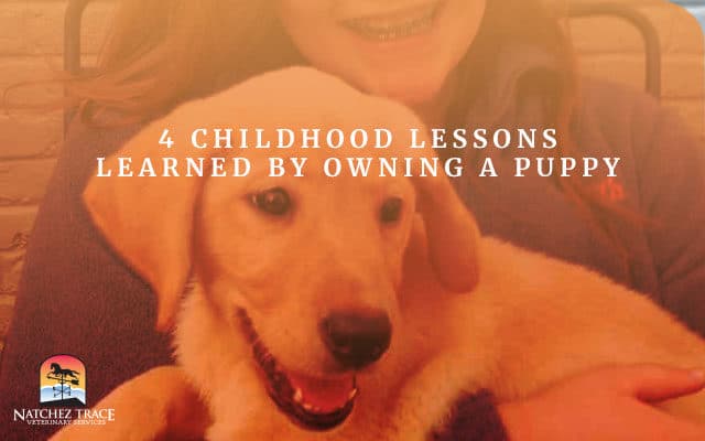 Teenager with a puppy