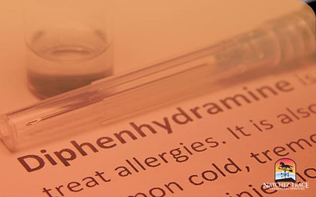 Benadryl label for pet allegies