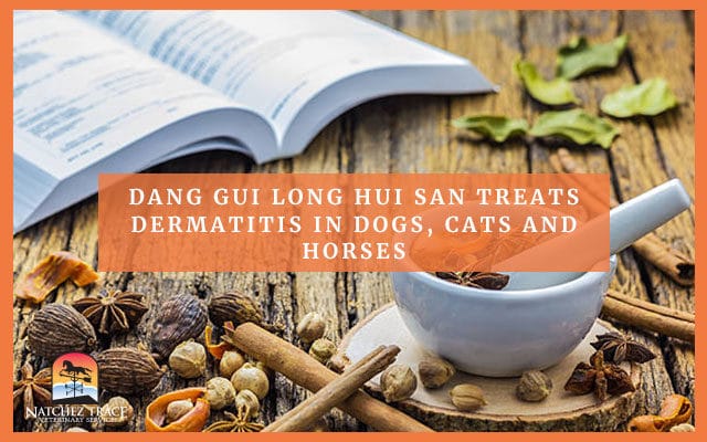 Dermatitis Eastern Herbal Formula
