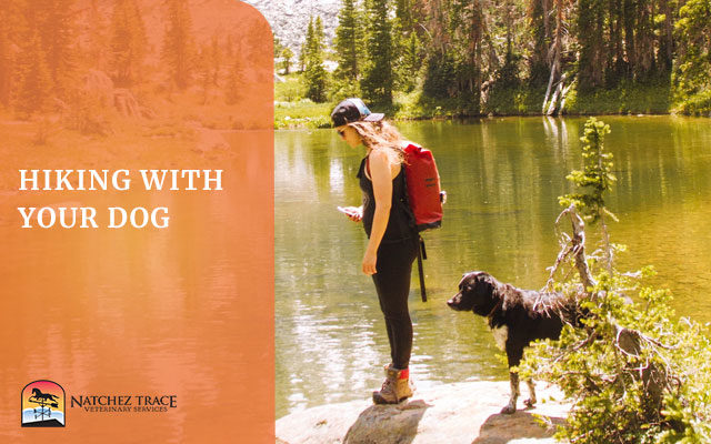 Woman and dog hiking