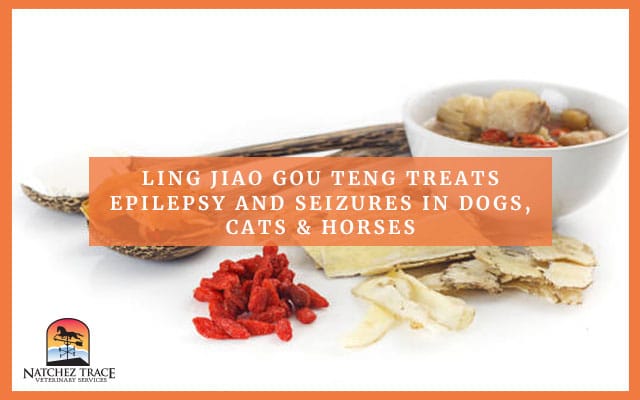 Mixture of herbals for pet seizures