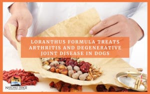 Loranthus Formula for Pet Arthritis