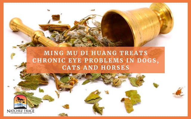 Mixture of multiple herbs for pet glaucoma.
