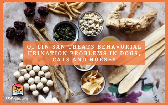 Mixture of herbals for inappropriate urination in pets.