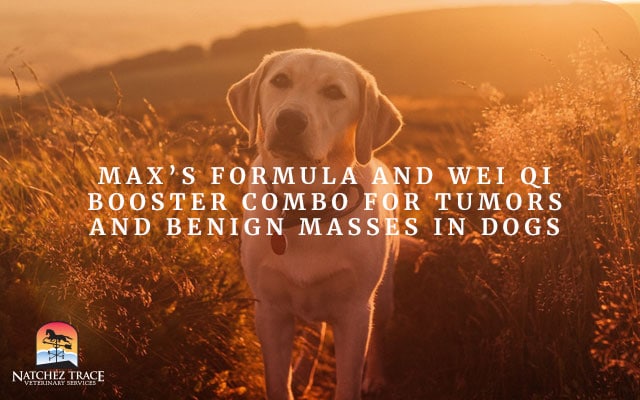 Image for Max's Formula and Wei Qi Booster Combo for Tumors and Benign Masses in Dogs