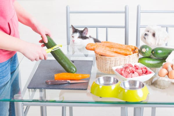 Preparing natural natural, organic food for pets at home