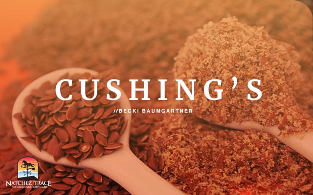 Herbal for Cushing's