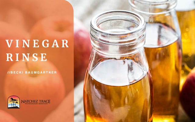 Bottle of vinegar rinse