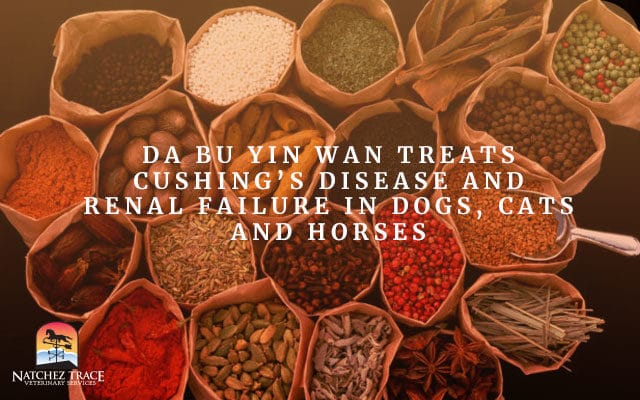Da Bu Yin Wan Treats Cushing’s Disease and Renal Failure in Dogs, Cats and Horses