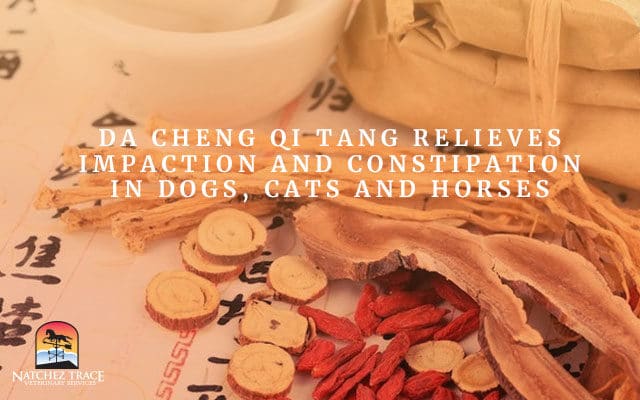 Da Cheng Qi Tang Relieves Impaction and Constipation in Dogs, Cats and Horses