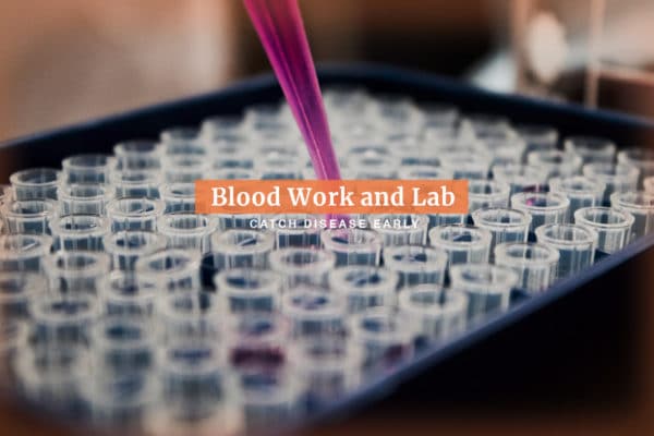 Laboratory and Blood Work at Natchez Trace Veterinary Services in Nashville, TN