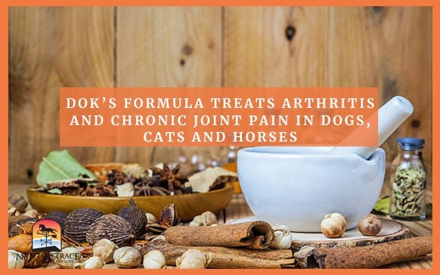 Picture Of Doks Formula That Can Treat Arthritis And Joint Pain