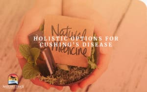 Natural Medicines, an option for cushing's disease