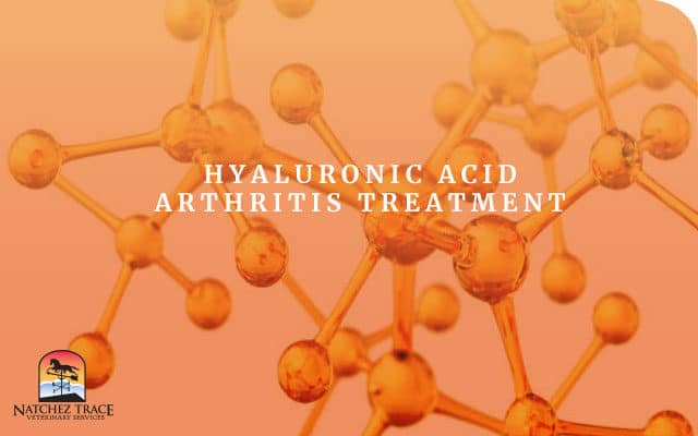 Hyaluronic Acid Arthritis In Dog