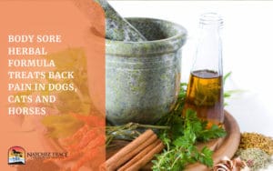 Herbal formula for body sore and back pain for pets