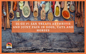 Picture of Di Gu Pi San treatment for Arthritis and Joint Pain in Pets