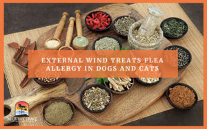 Picture of External Wind for Flea Allergy in Pets