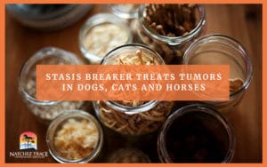A Picture of Some Statis Breaker for Tumors in Pets