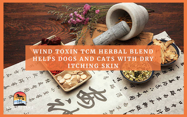 Image for Wind Toxin TCM Herbal Blend Helps Dogs and Cats with Dry Itching Skin
