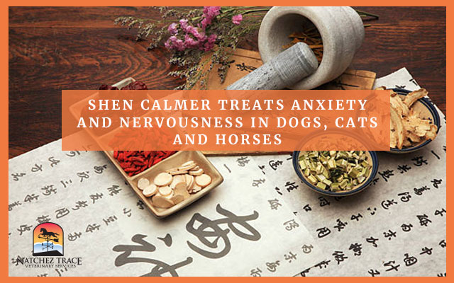 Picture of Shen Calmer That Can Treat Anxiety Nervousness in Pets
