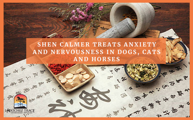 thumbnail image 2 of KalmAid Tablets For Dogs & Cats – Natural Stress Relief For Nervous Pets (All Breeds & Sizes) 2 of 6