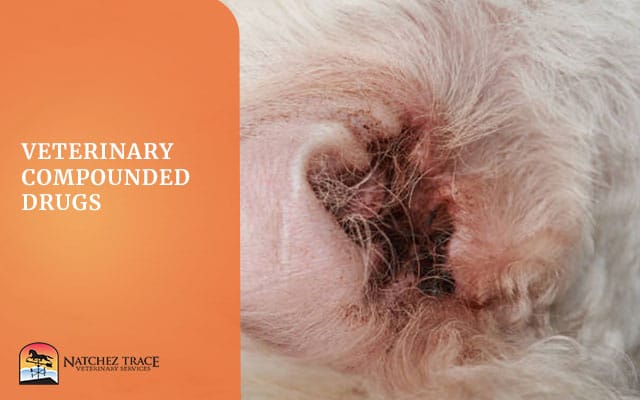 Image for How is Compounded Veterinary Medicine Used For Ear Infections?