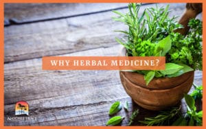 Plants For Herbal Medicine