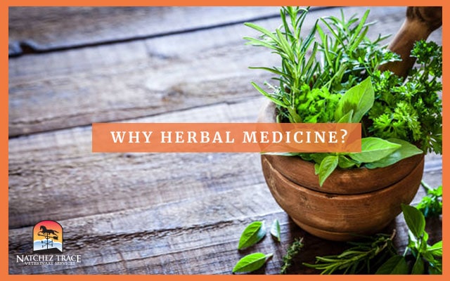 Image for Why Use Herbal Medicine On Our Pets?