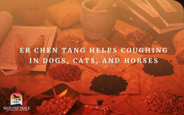 Image for Er Chen Tang Treats Coughing in Dogs, Cats, and Horses