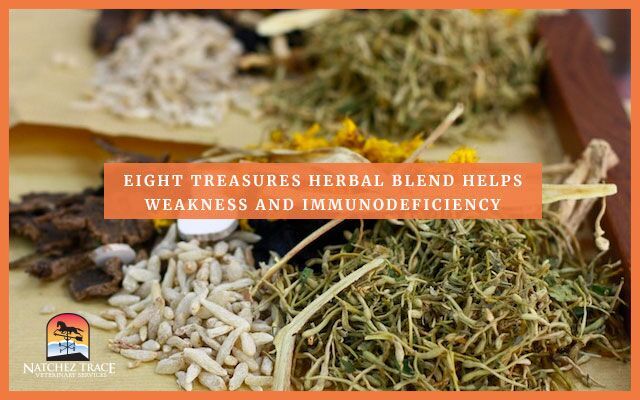 Image for Eight Treasures Herbal Blend Helps Weakness and Immunodeficiency in Dogs, Cats & Horses