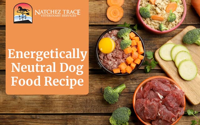 Learn How to Make an Energetically Neutral Dog Food