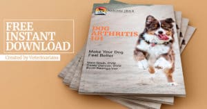 Dog Arthritis Ebook Graphic