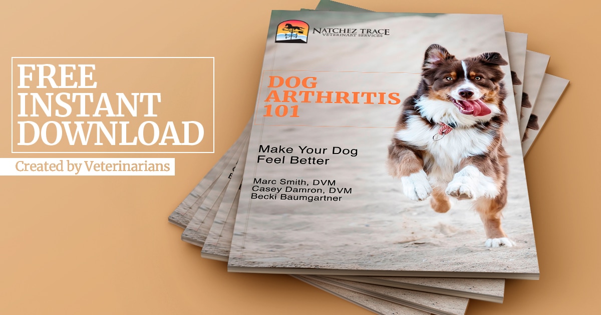 Dog Arthritis 101 Free Ebook Graphic
