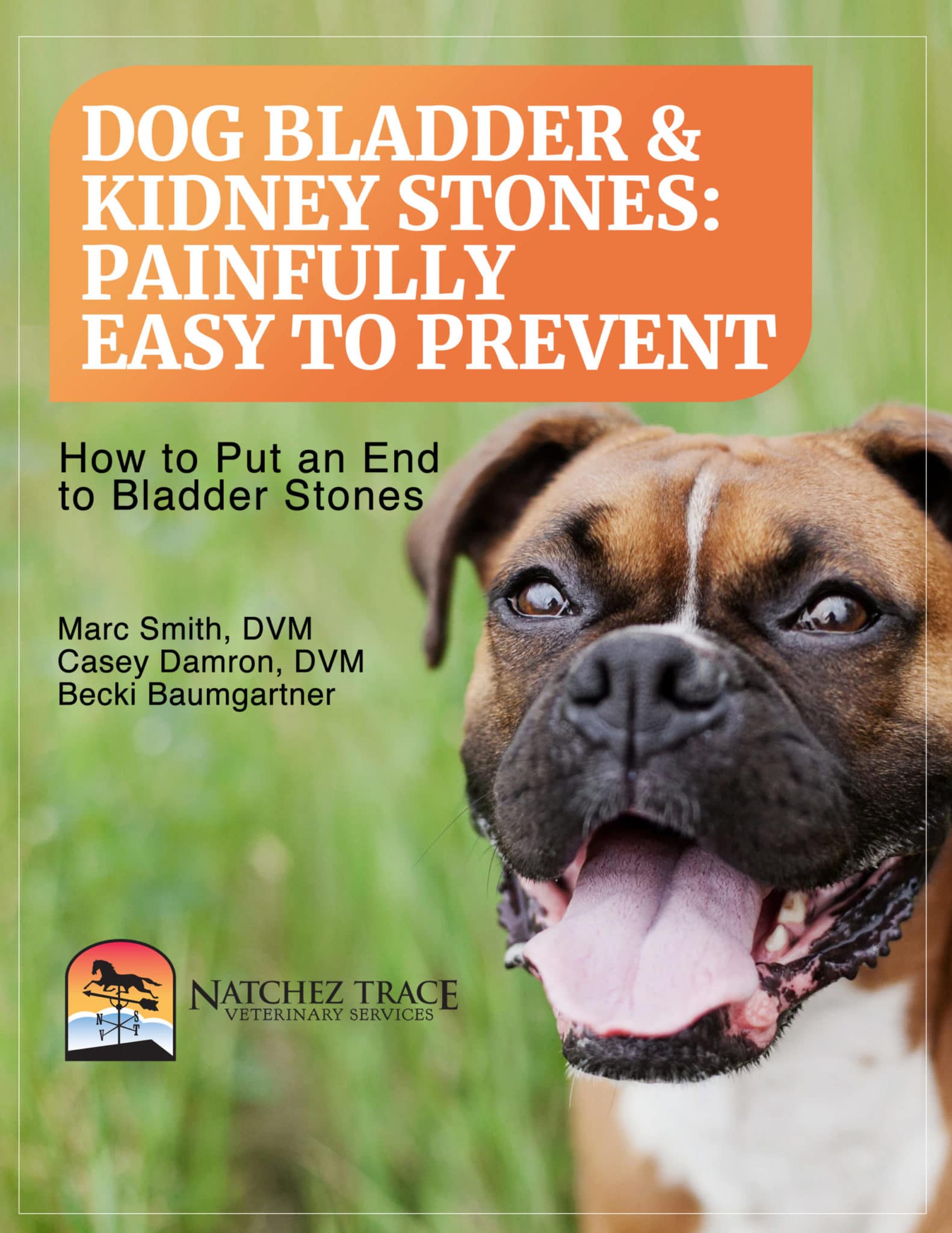 Free Dog Kidney Stone Ebook Help Your Dog Feel Better Today!