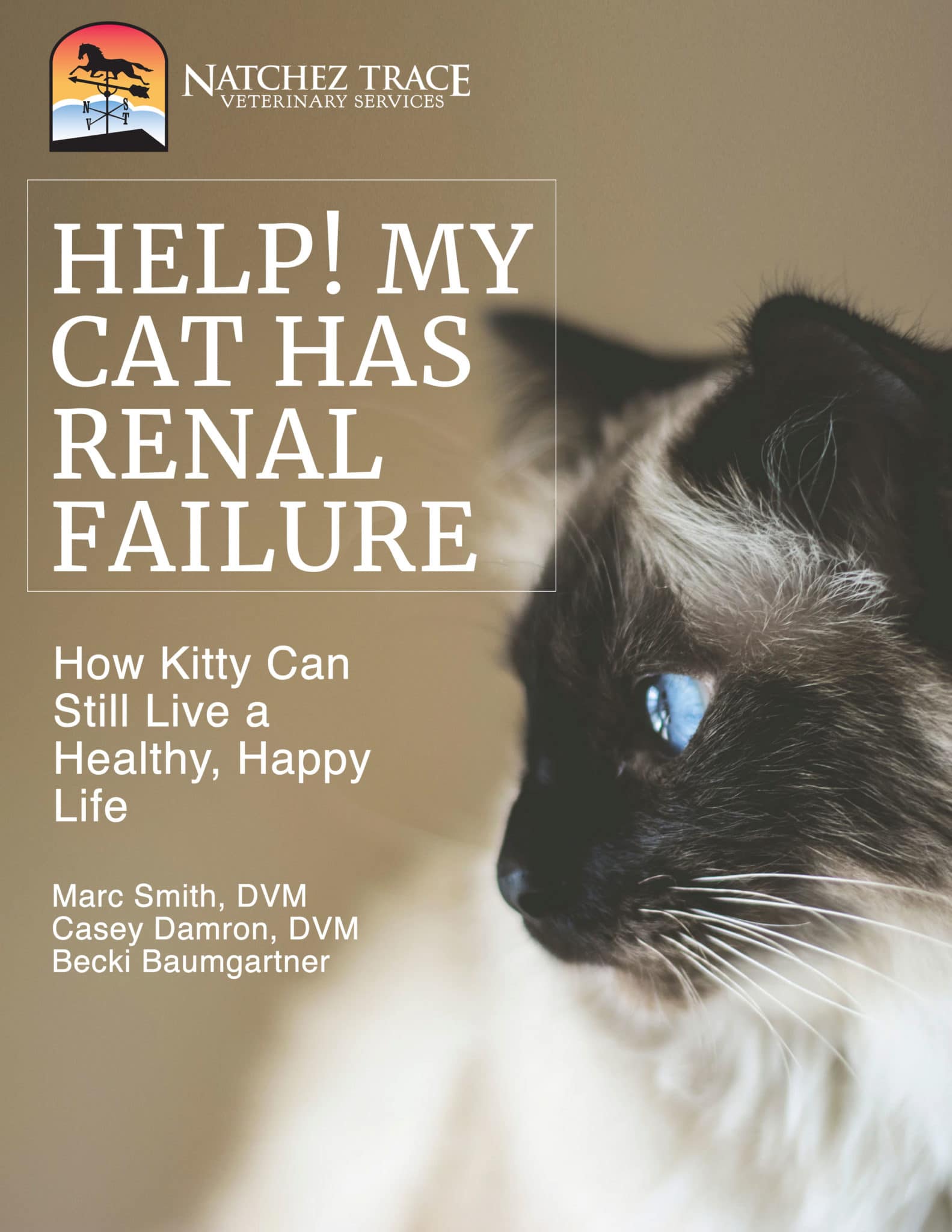 Help Your Cat's Renal Failure Free Instant Download