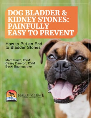 what causes calcium oxalate stones in dogs