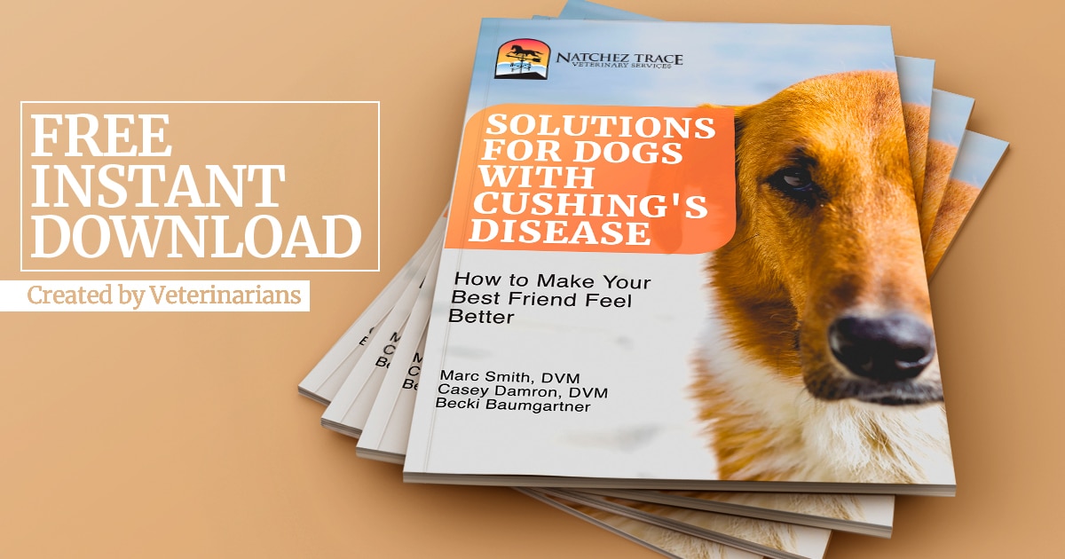 Solutions for Dog Cushing's Disease Ebook Graphic