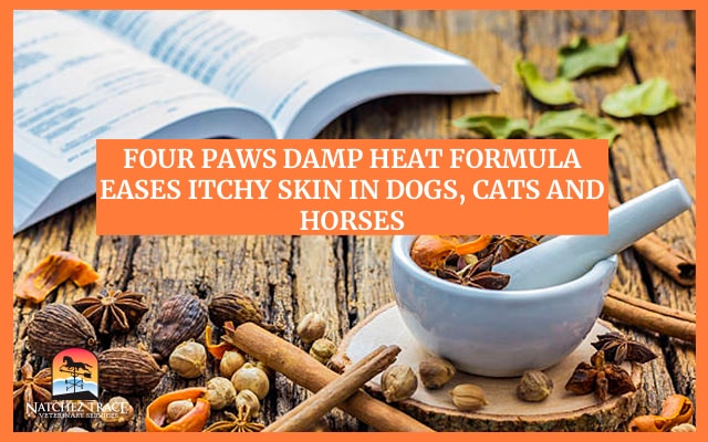 Four Paws Damp Heat Formula Treats Itchy Skin in Dogs, Cats and Horses