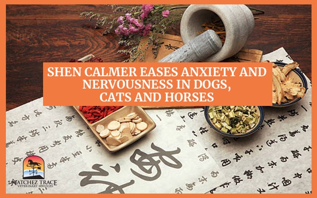 Image for Shen Calmer Treats Anxiety and Nervousness in Dogs, Cats and Horses