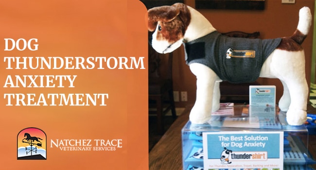 Image for Thundershirt: Dog Thunderstorm Anxiety Remedy
